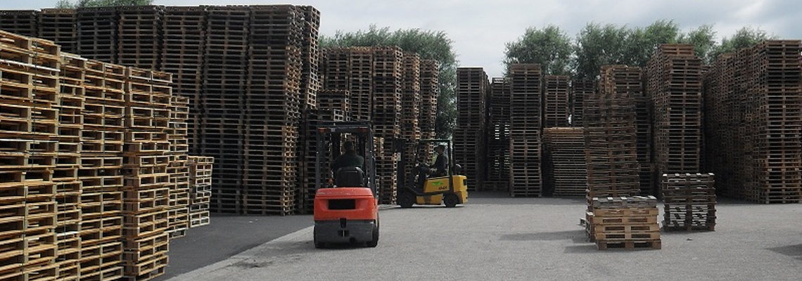 pallet recycling friesland terrein bergen pallets